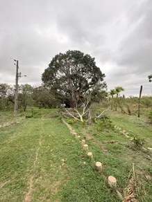 Imagem 5 - Chácara em COXIPO DO OURO, Cuiabá - MT