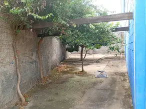Imagem 2 - Andar / Laje Corporativa em Parque Atalaia, Cuiabá - MT