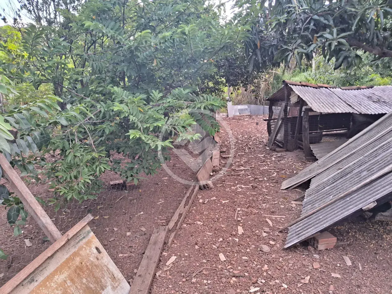 Image 2 - Chácara em Zona Rural, Acorizal - MT