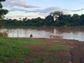 Imagem 4 - Chácara em Zona Rural, Acorizal - MT
