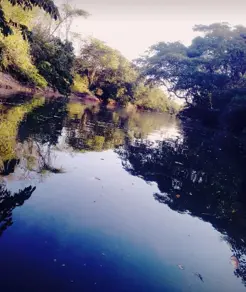 Fazenda Centro, Poconé - MT — foto 1