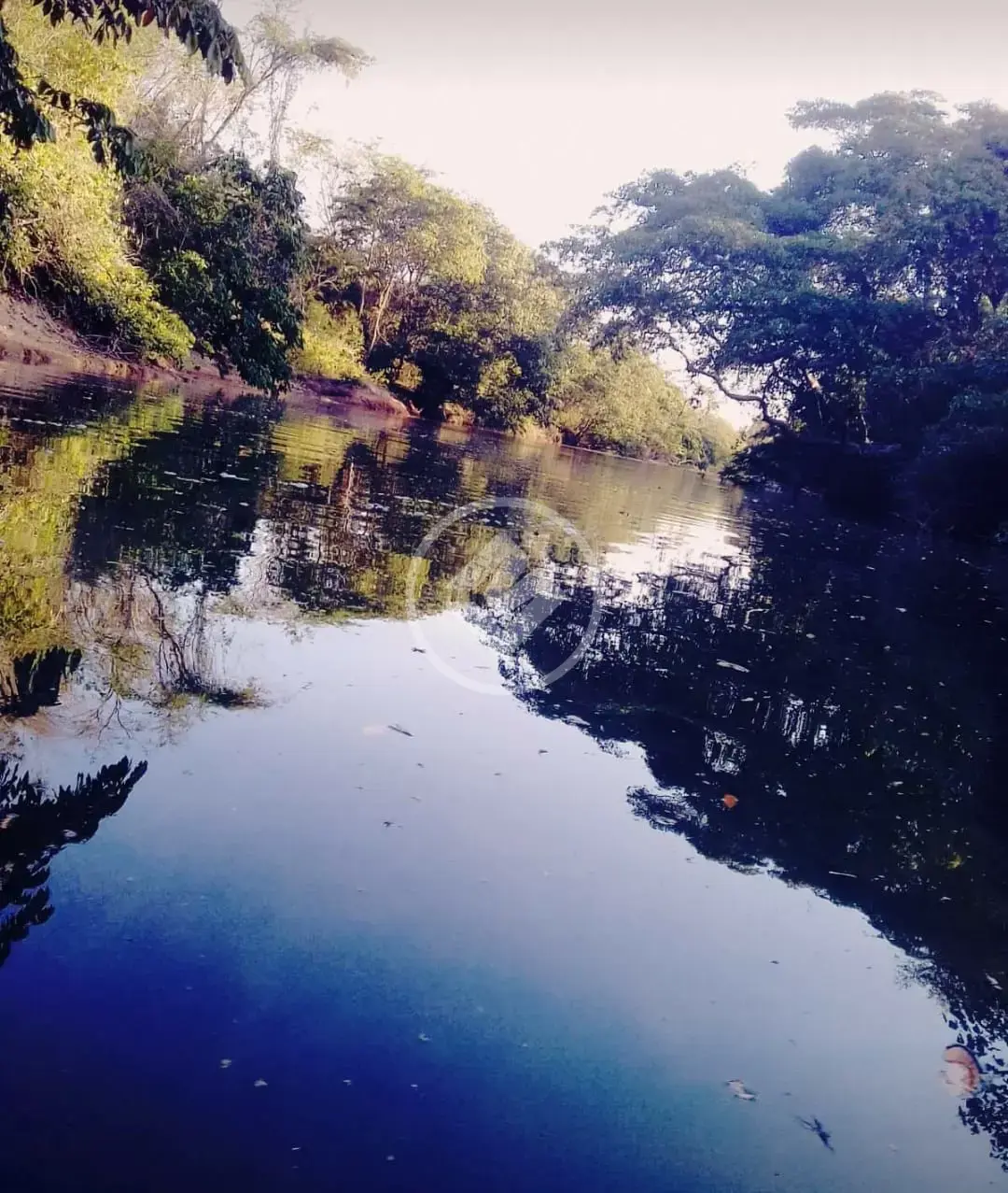 Imagem 1 - Fazenda em Centro, Poconé - MT