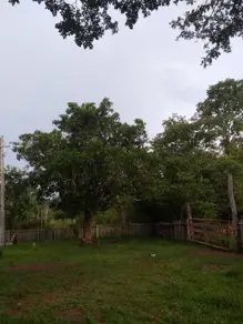 Imagem 2 - Fazenda em Centro, Poconé - MT