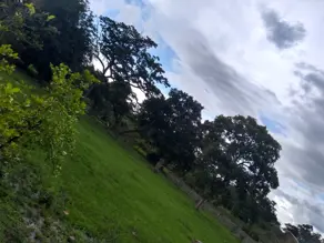 Imagem 3 - Fazenda em Centro, Poconé - MT