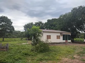 Imagem 4 - Fazenda em Centro, Poconé - MT