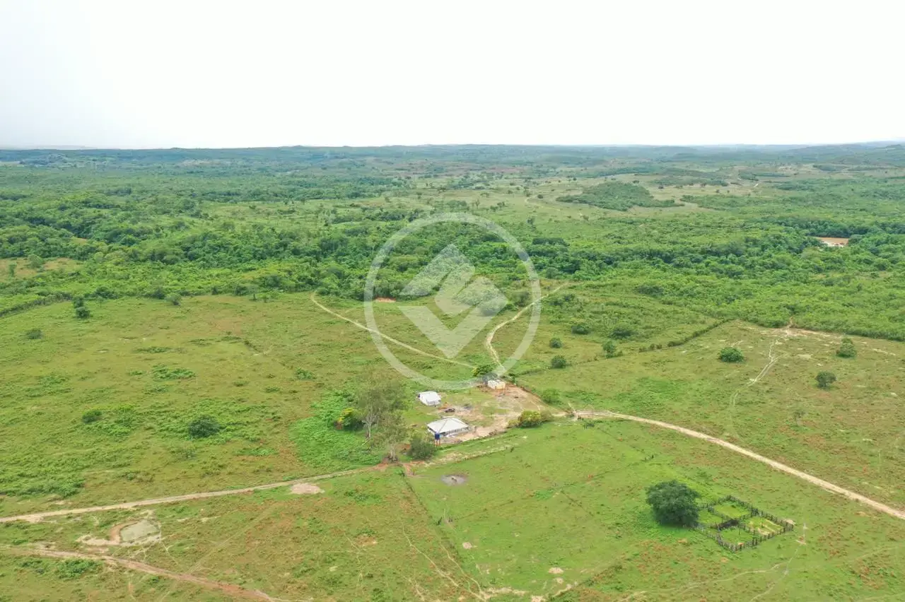 Image 2 - Fazenda em Area Rural, Rosário Oeste - MT