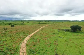 Fazenda Area Rural, Rosário Oeste - MT — foto 1