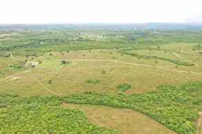 Imagem 6 - Fazenda em Area Rural, Rosário Oeste - MT