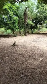 Imagem 4 - Chácara em Pedra 90, Cuiabá - MT