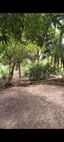 Imagem 6 - Chácara em Pedra 90, Cuiabá - MT