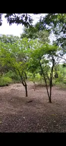 Imagem 5 - Chácara em Pedra 90, Cuiabá - MT