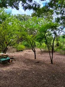 Chácara Pedra 90, Cuiabá - MT — foto 2