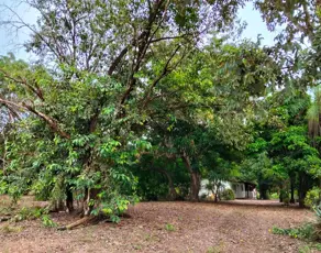 Imagem 2 - Chácara em Pedra 90, Cuiabá - MT
