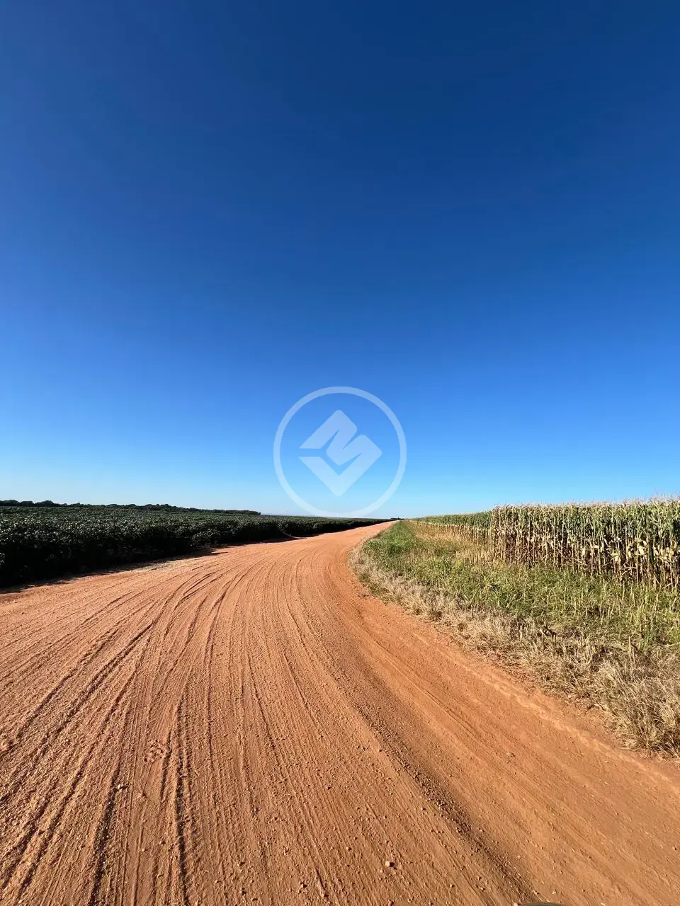Imagem 1 - Fazenda em SANTA RITA, Jaciara - MT