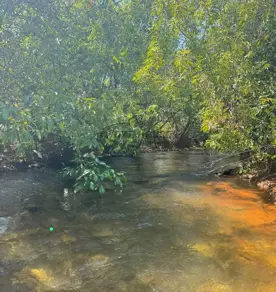 Imagem 5 - Chácara em Área Rural de Cuiabá, Cuiabá - MT