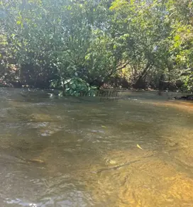 Imagem 3 - Chácara em Área Rural de Cuiabá, Cuiabá - MT