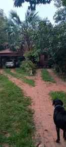 Casa CAPAO DO PEQUI, Várzea Grande - MT — foto 2
