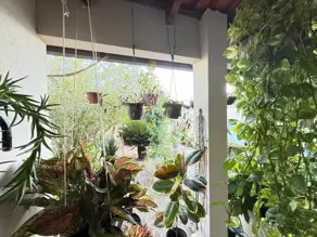 Imagem 5 - Casa em Residencial Coxipo, Cuiabá - MT
