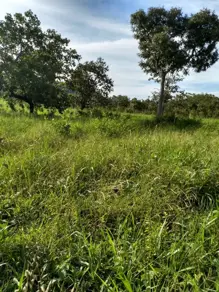 Sítio CENTRO, Chapada dos Guimarães - MT — foto 1