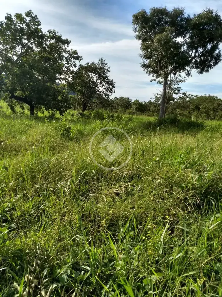 Imagem 1 - Sítio em CENTRO, Chapada dos Guimarães - MT