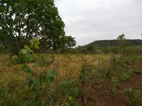 Sítio CENTRO, Chapada dos Guimarães - MT — foto 2
