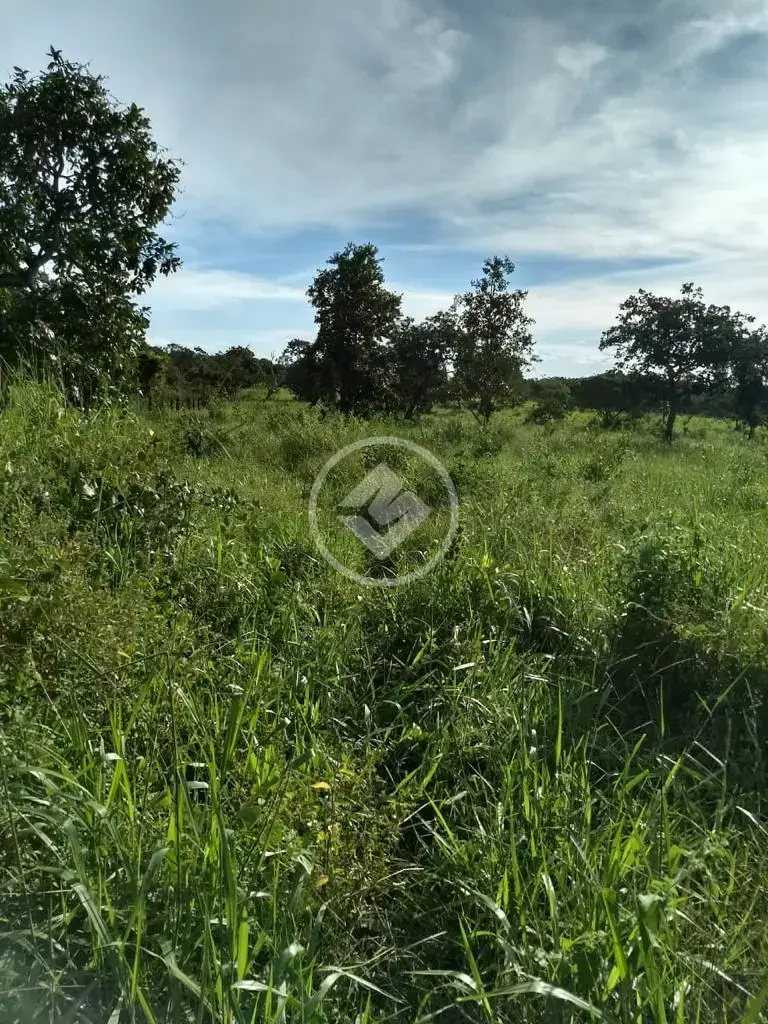 Imagem 4 - Sítio em CENTRO, Chapada dos Guimarães - MT