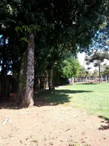 Imagem 6 - Terreno em CENTRO, Chapada dos Guimarães - MT
