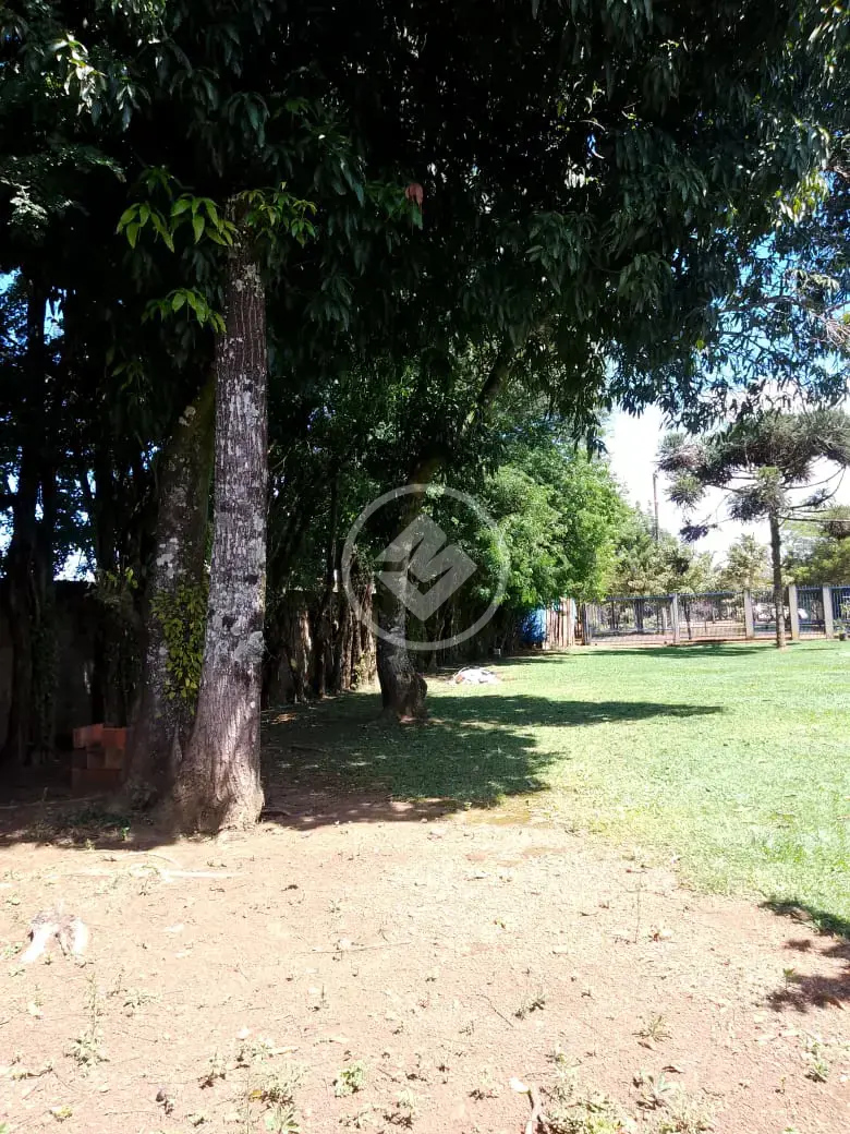 Imagem 6 - Terreno em CENTRO, Chapada dos Guimarães - MT