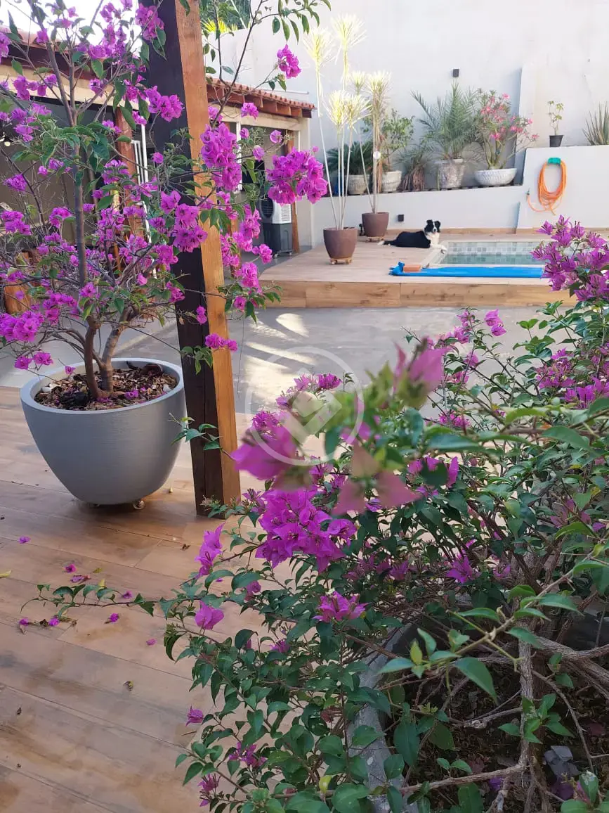 Imagem 1 - Casa em Poção, Cuiabá - MT