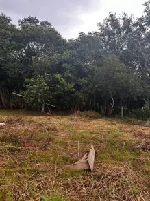 Imagem 4 - Chácara em CENTRO, Chapada dos Guimarães - MT