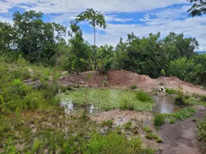 Imagem 3 - Sítio em Zona Rural, Alto Paraguai - MT