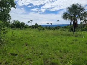 Imagem 4 - Sítio em Zona Rural, Alto Paraguai - MT