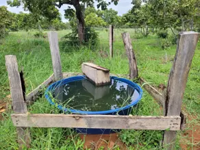 Imagem 5 - Sítio em Zona Rural, Alto Paraguai - MT