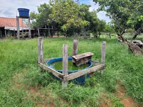 Imagem 6 - Sítio em Zona Rural, Alto Paraguai - MT