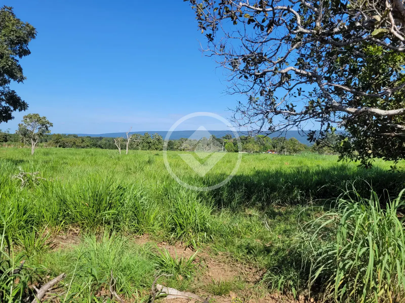 Image 15 - Sítio em Zona Rural, Alto Paraguai - MT