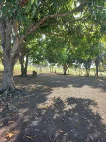 Imagem 6 - Chácara em Area Rural, Rosário Oeste - MT