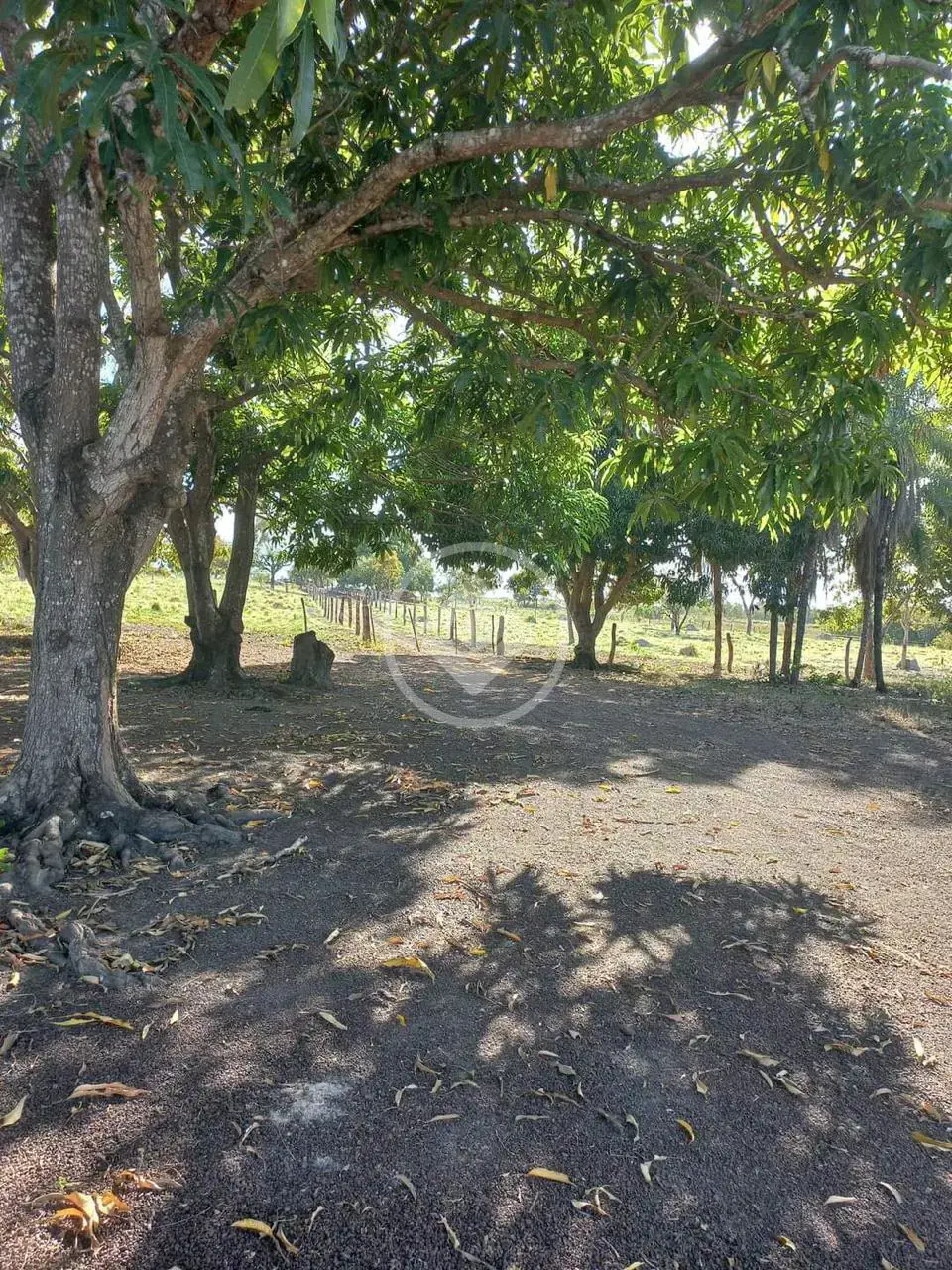 Image 7 - Chácara em Area Rural, Rosário Oeste - MT