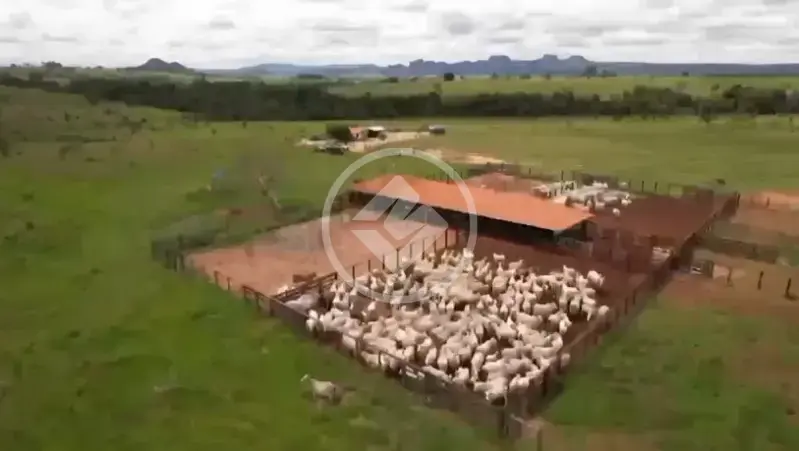 Image 2 - Fazenda em JARDIM GOIAS, Caiapônia - GO