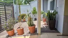 Imagem 5 - Casa em Santa Cruz, Cuiabá - MT