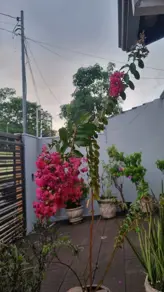 Imagem 4 - Casa em Santa Cruz, Cuiabá - MT