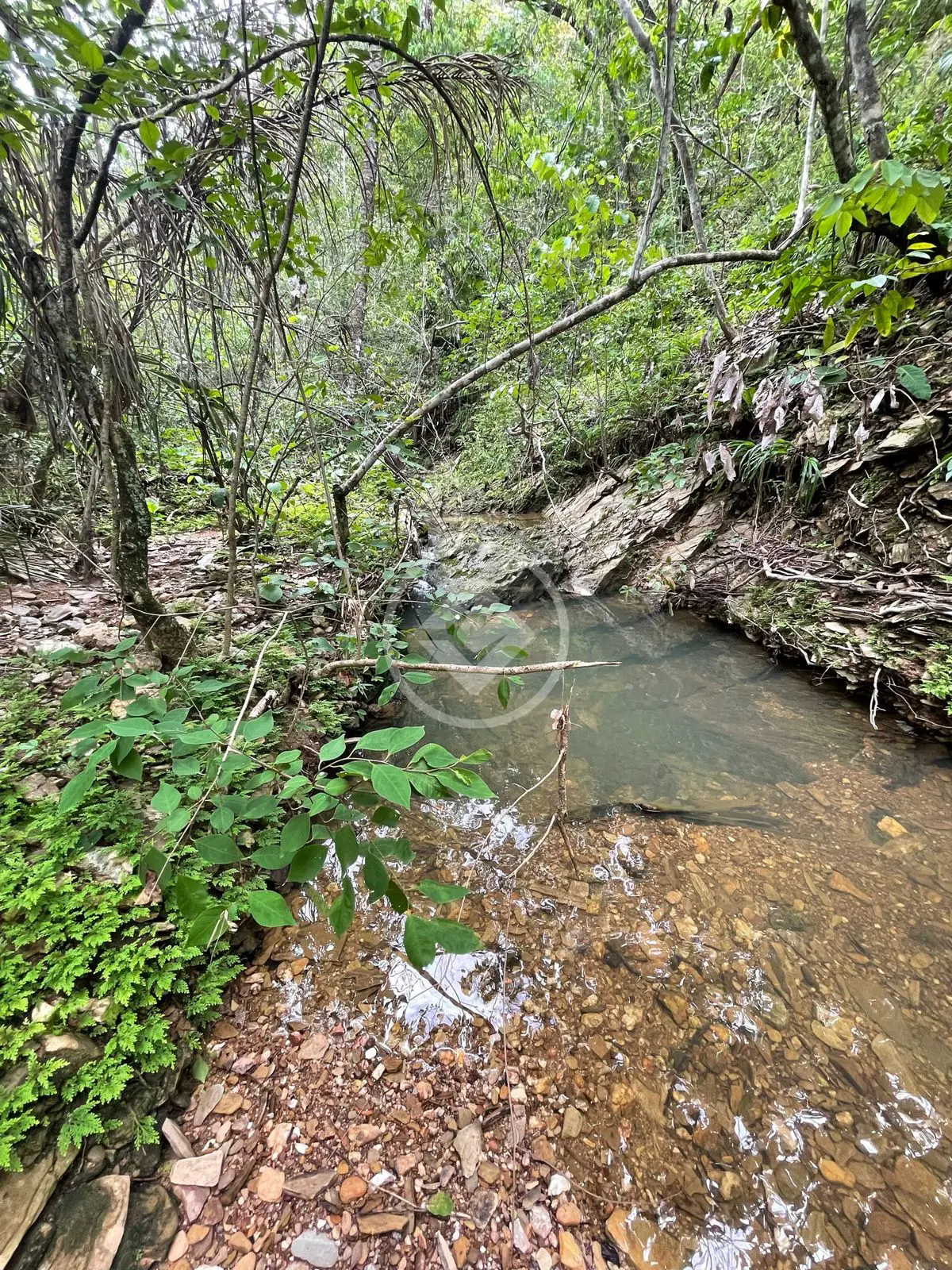 Imagem 2 - Chácara em Jardim Florianópolis, Cuiabá - MT