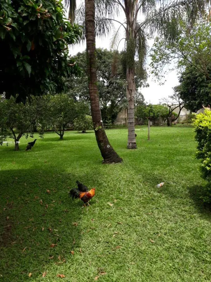 Imagem 4 - Chácara em Jardim Maria Rosa, Araras - SP
