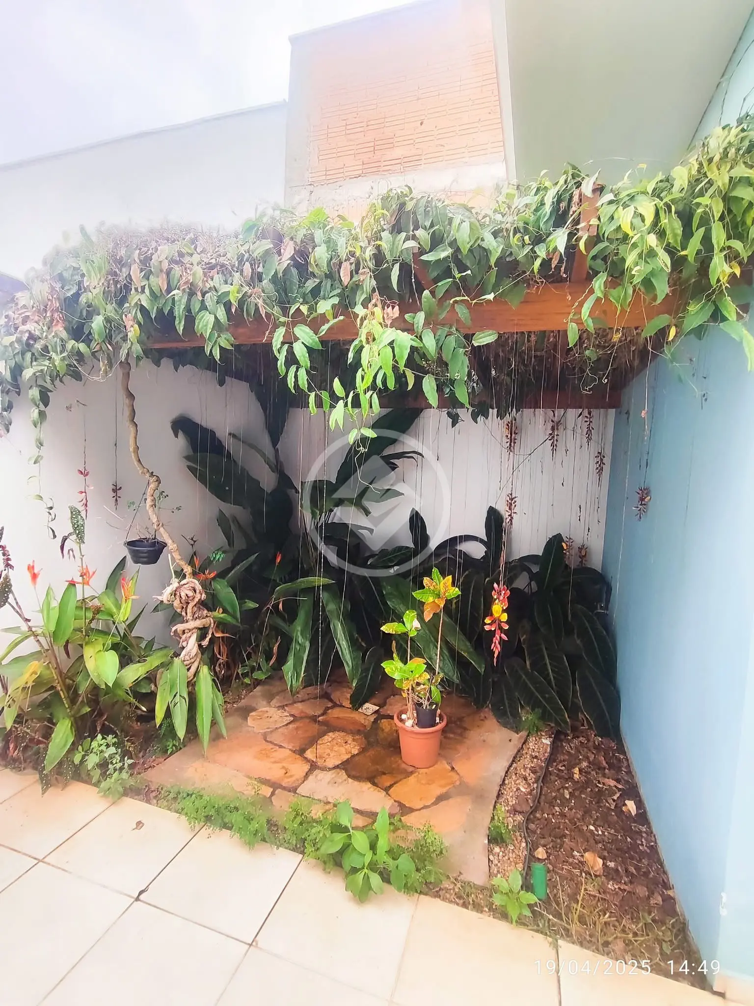 Imagem 4 - Casa em Jardim da Colina, Araras - SP