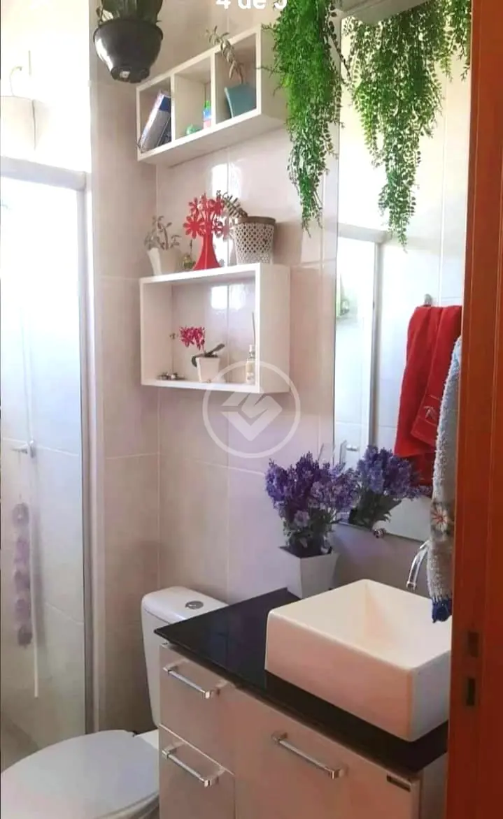 Imagem 4 - Apartamento em Jardim Celina, Araras - SP