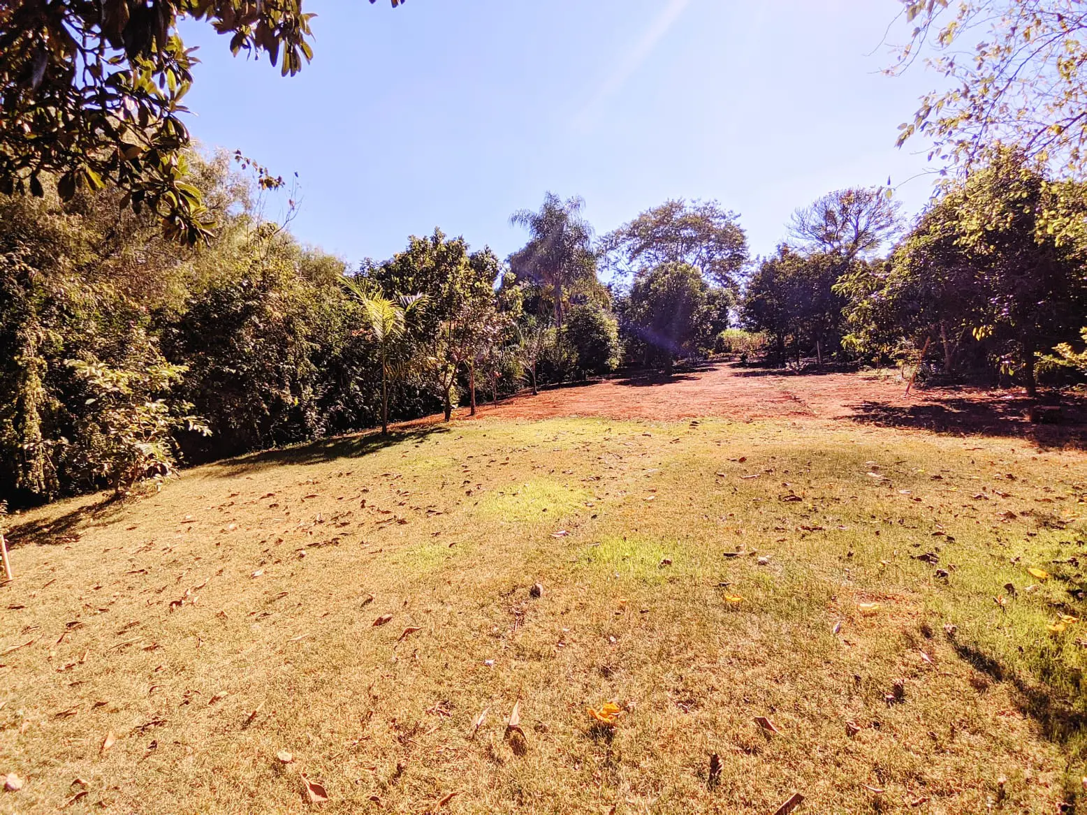 Imagem 3 - Chácara em Residencial das Paineiras, Araras - SP