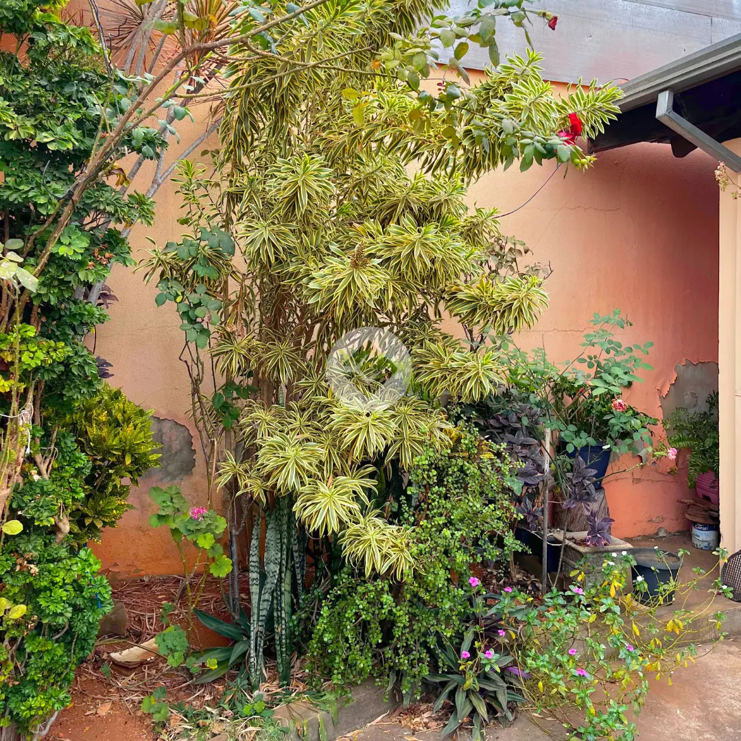 Imagem 4 - Casa em Engenheiro Clovis Freitas Leal, Araxá - MG