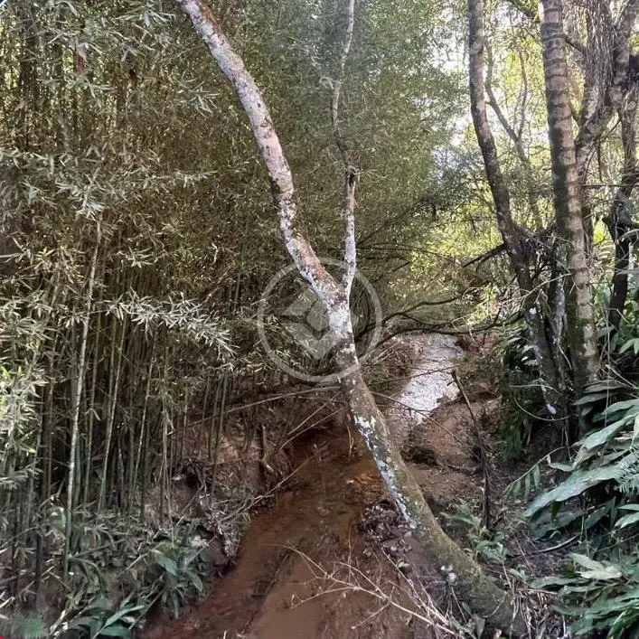 Imagem 3 - Fazenda em Pão-de-Açúcar, Araxá - MG