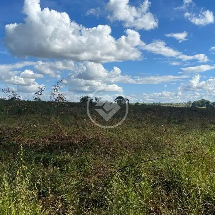 Imagem 2 - Fazenda em Pão-de-Açúcar, Araxá - MG