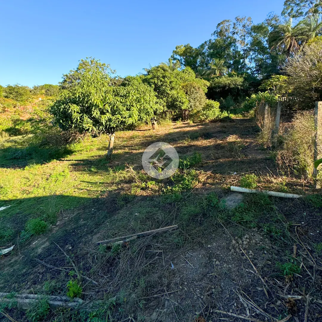 Imagem 4 - Sítio em Amazonas, Araxá - MG