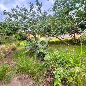 Terreno Centro, Araxá - MG — foto 2